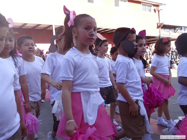 DSC02251