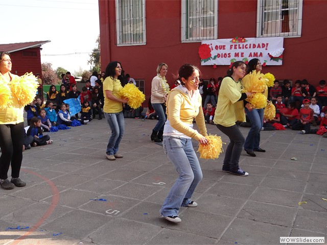 DSC00261
