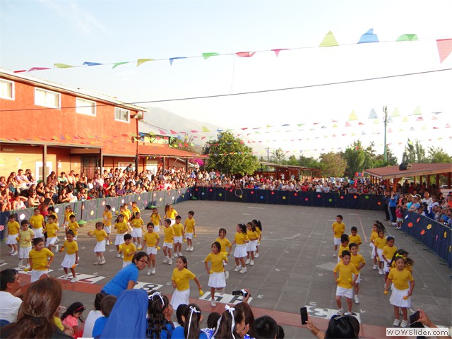 DSC00195