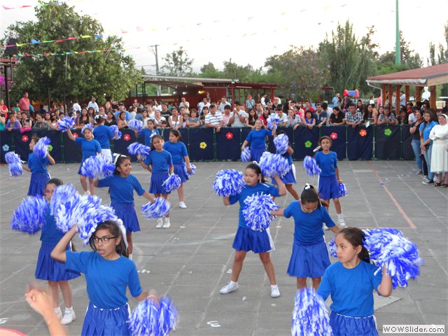 DSC00307
