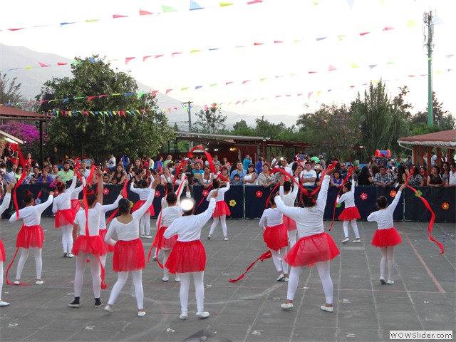 DSC00313