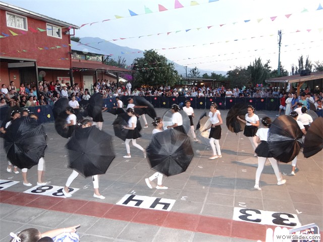 DSC00355