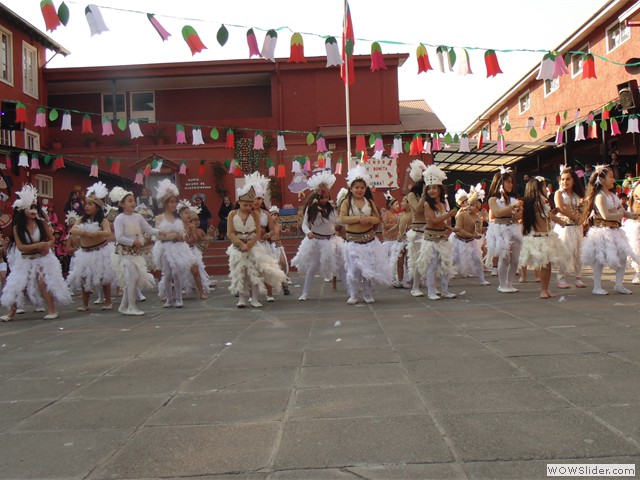 DSC07006