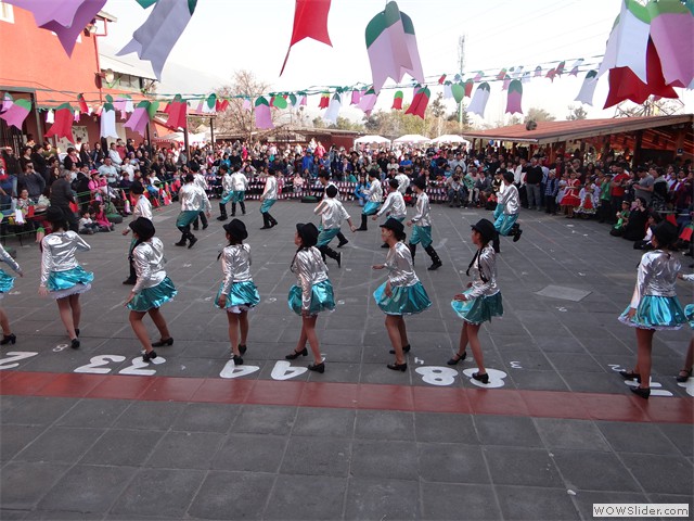 DSC07835