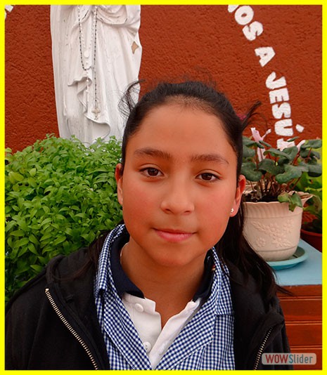 Javiera Cifuentes 6° Básico