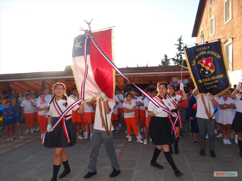 DSC06007