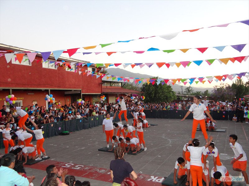 DSC06176