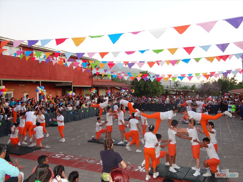 DSC06177