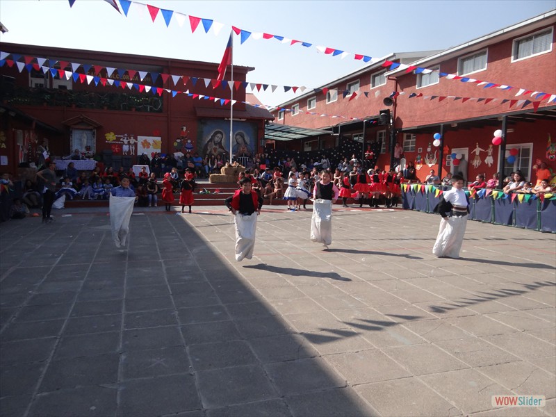 DSC01236