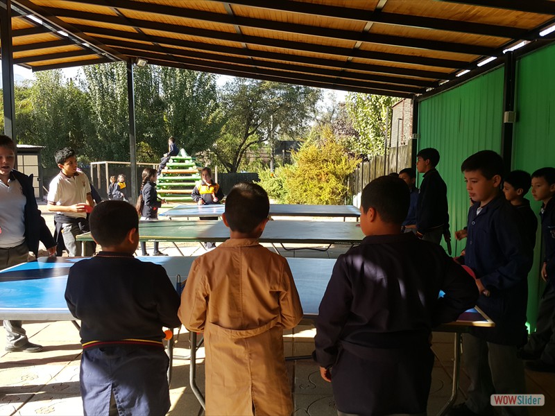 Ping Pong