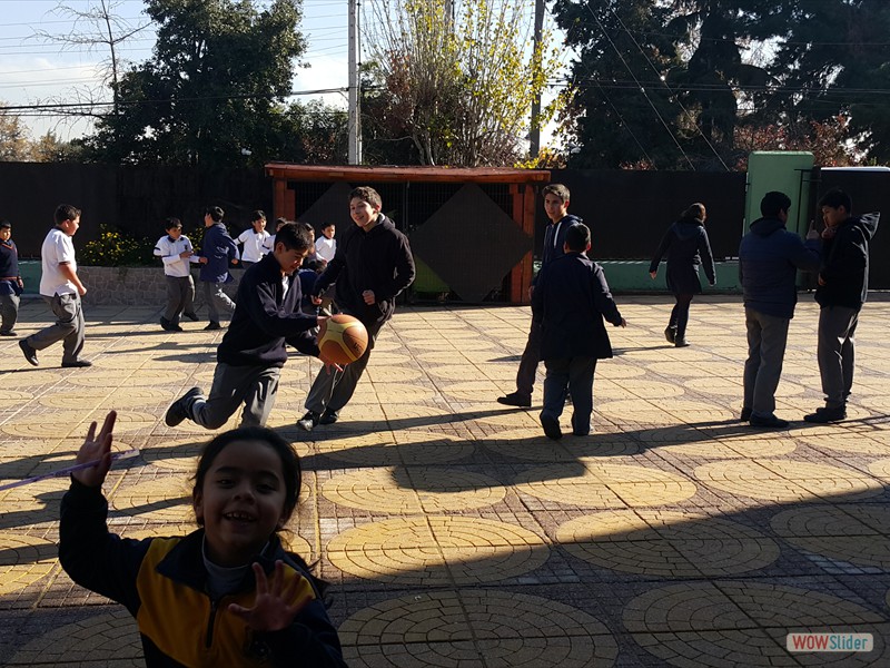 Basquet