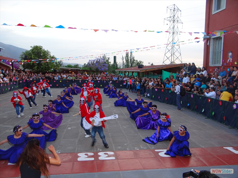 DSC03300