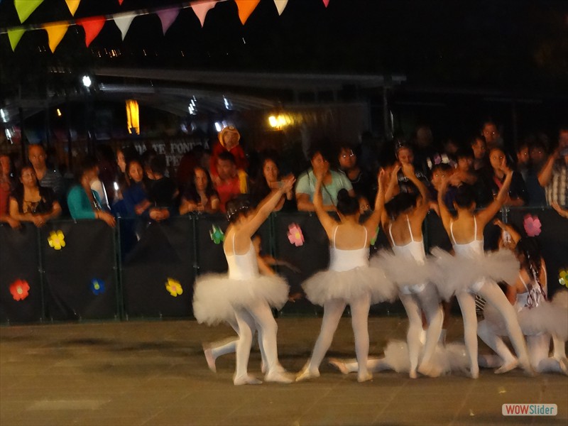DSC03478