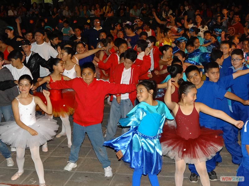 DSC03500