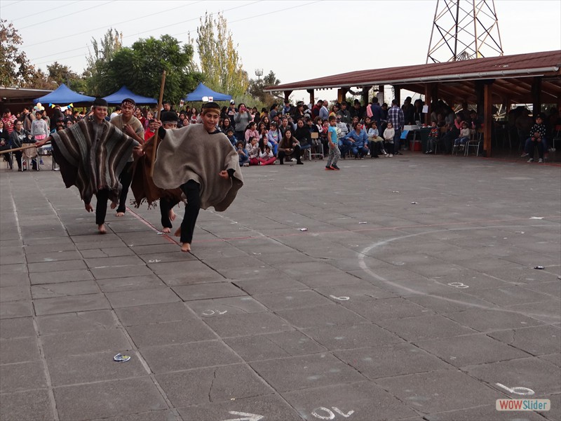 DSC05162