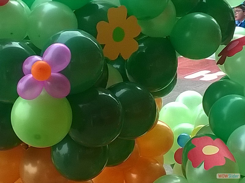 WP_20190517_004