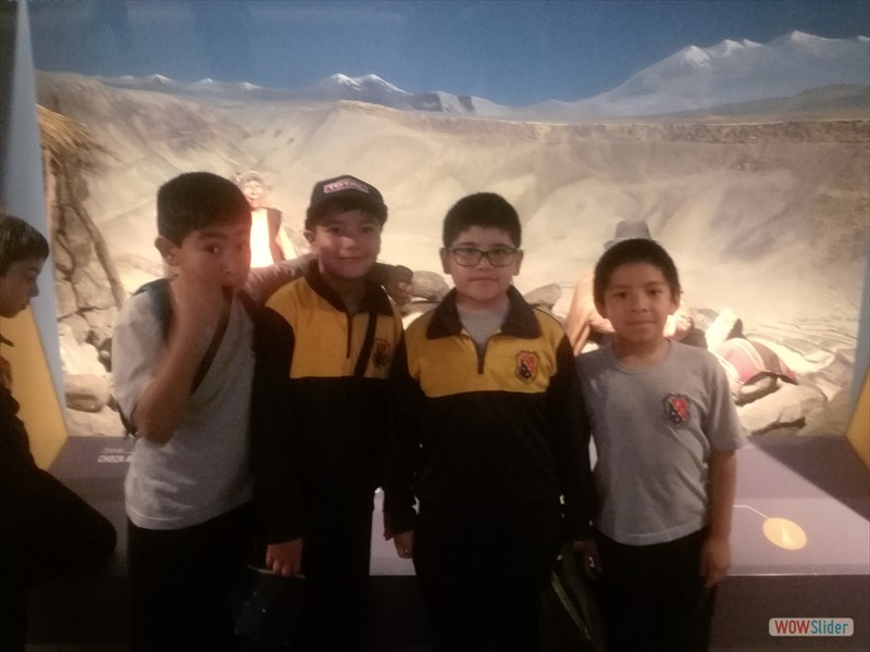 Museo Historia Natural