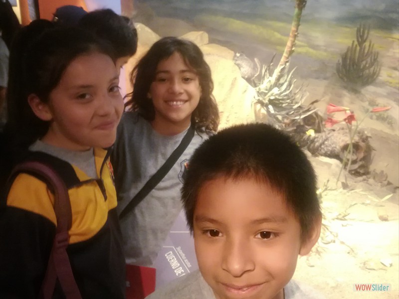 Museo Historia Natural