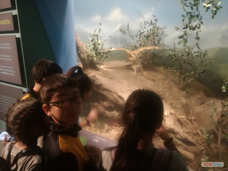 Museo Historia Natural