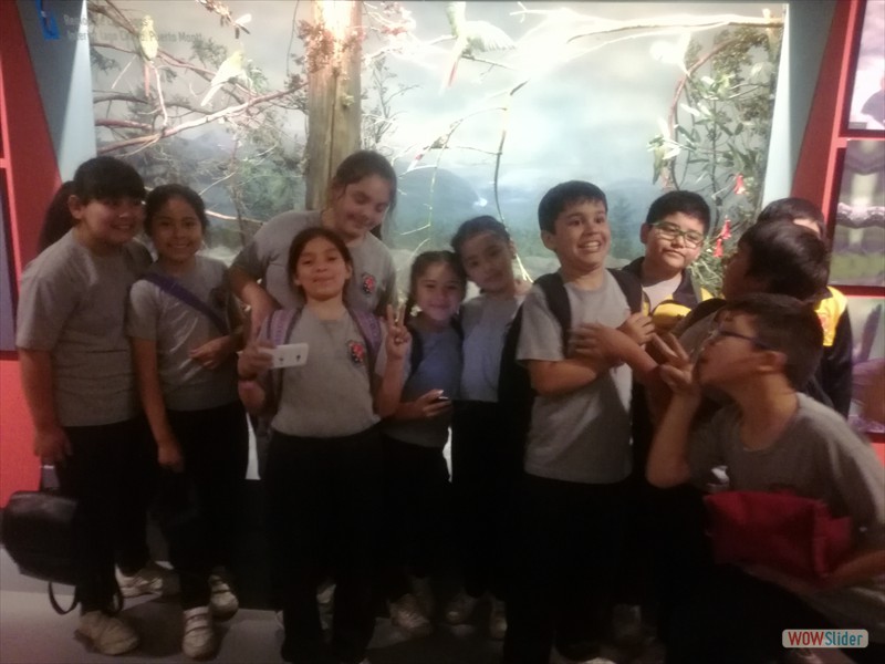 Museo Historia Natura