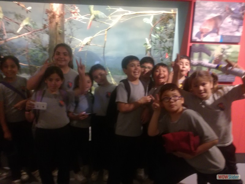 Museo Historia Natural