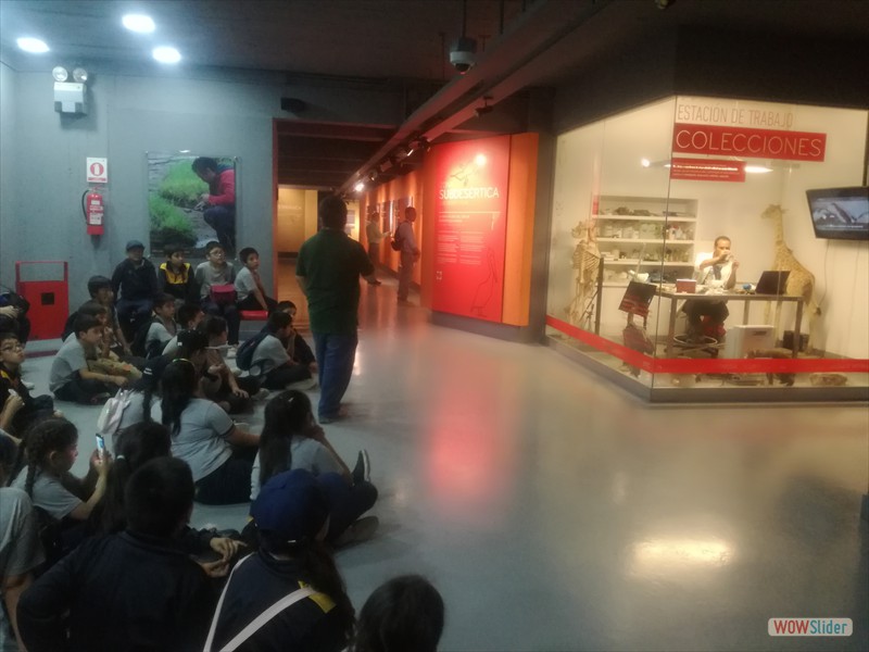 Museo Historia Natural