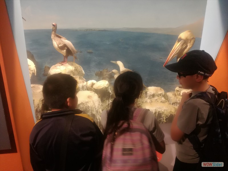 Museo Historia Natural 