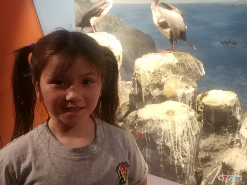 Museo Historia Natural