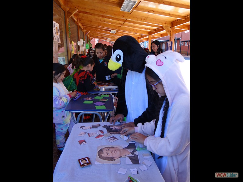 DSC07737