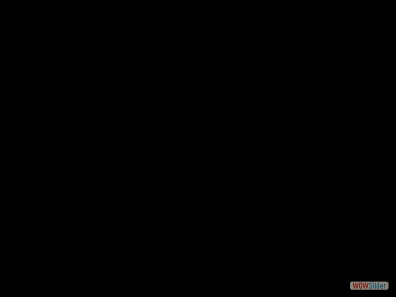 DSC07794