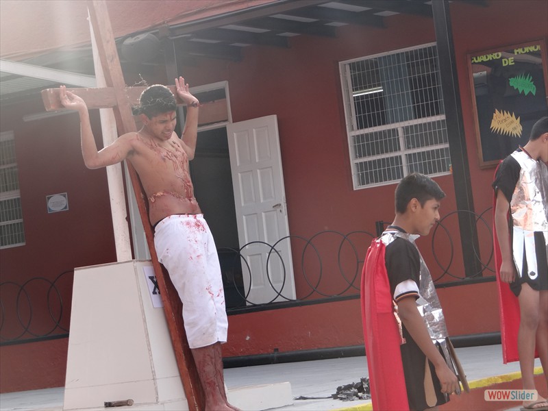 DSC04989